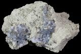 Purple/Gray Fluorite Cluster - Marblehead Quarry Ohio #81189-2